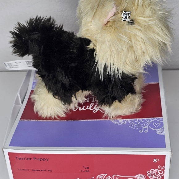 American Girl Truly Me Terrier Puppy Original Box! NO TOY. AG hairclips added! - Picture 5 of 9